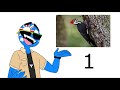 Beginning of video