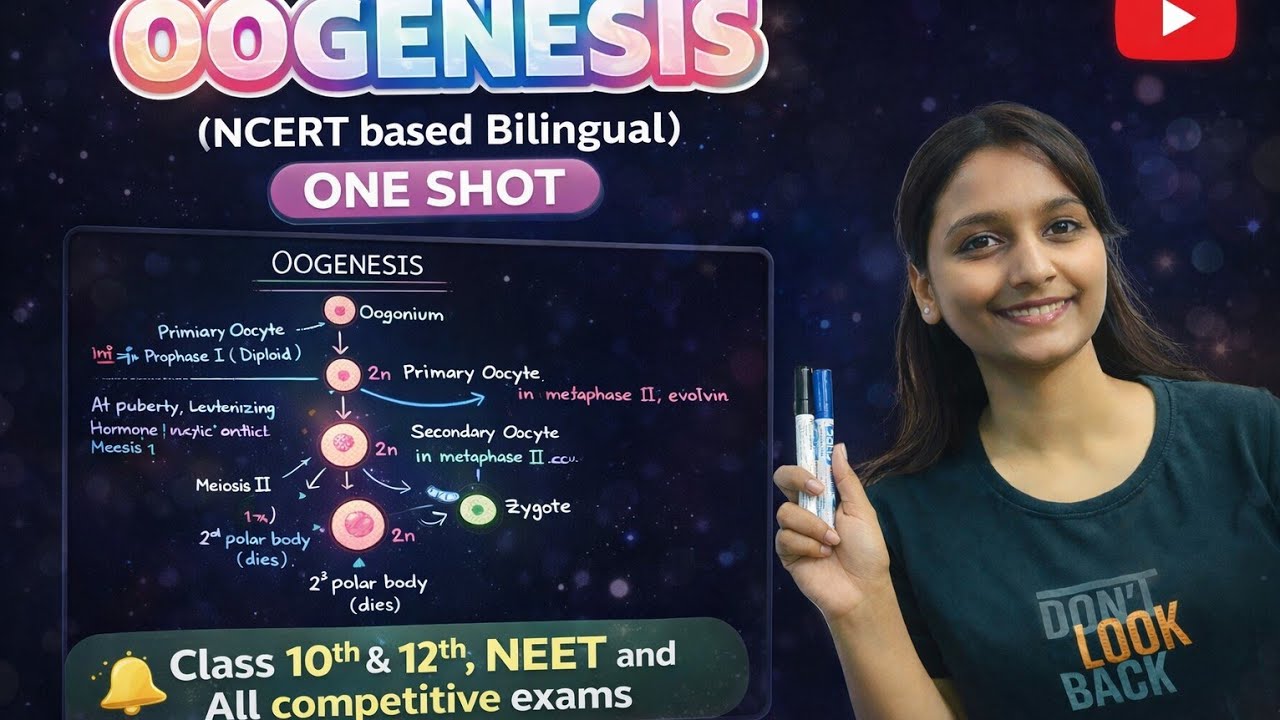 Oogenesis class 10th & 12th NCERT | Oogenesis NEET  | Ovum formation | Biology  |  BPSC tre 4.0 