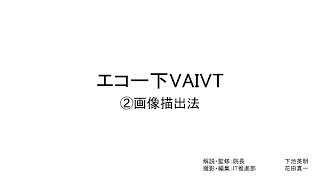 エコー下VAIVT（画像描出法）
