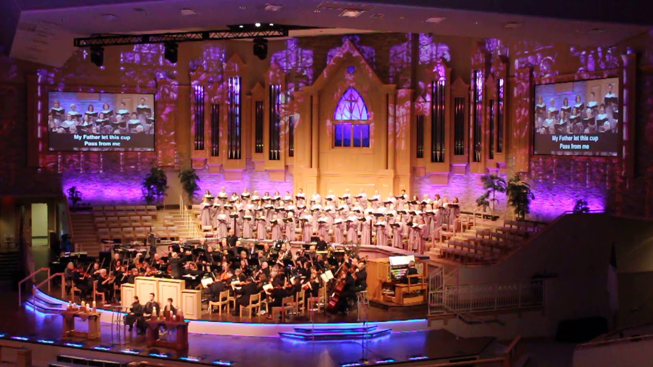 camera iphone 8 plus apk 2019 Thy Will Be Done MVI 8007