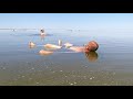 Озеро Баскунчак. Мертвое море в России. Куда поехать отдыхать в 2020. Соленое озеро.