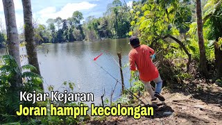 Download Lagu Meronta ronta sambaran toman besar bikin kewalahan MP3