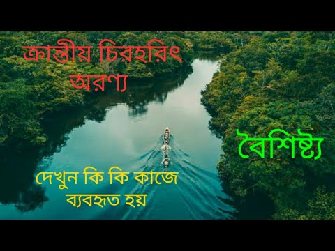 ভিডিও: পর্ণমোচী বন কি বায়োম?