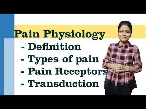 فیزیولوژی درد - تعریف، انواع درد، گیرنده های درد، انتقال درد I نوروفیزیولوژی