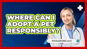 Where Can I Adopt a Pet Responsibly?
