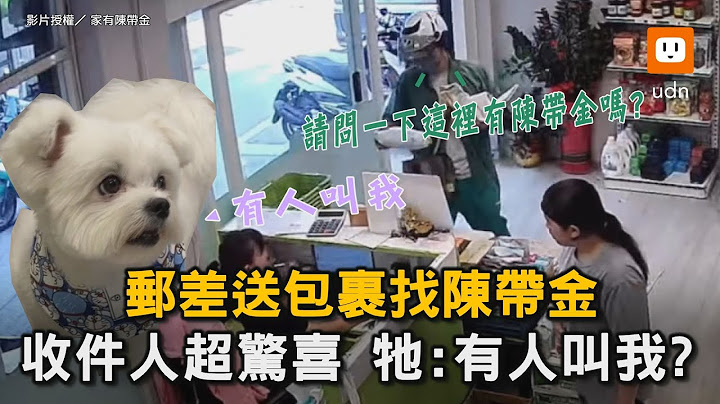 郵差送包裹找陳帶金 收件人超驚喜 牠:有人叫我?｜狗狗｜包裹｜寵物｜可愛
