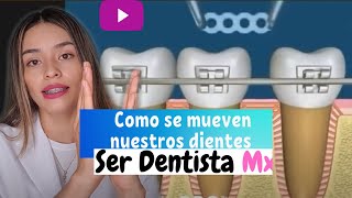 MOVIMIENTO DENTAL ✔👌#MOVIMIENTODENTAL