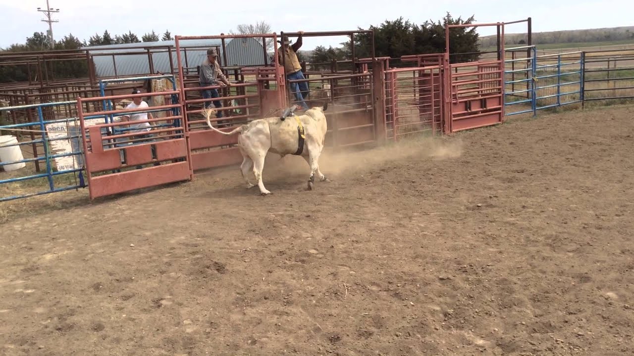 Triangle Cross/Price Bucking Bulls April 2014