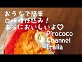 【簡単！白味噌作り】イタリアのうちで白味噌を作ってみました！速い、簡単、美味しい、なんせ嬉しい！
