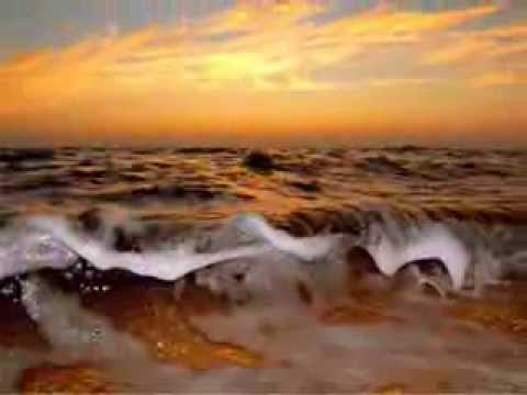 Koreda Dream - Tom Pouce (Didier Euzet 970)