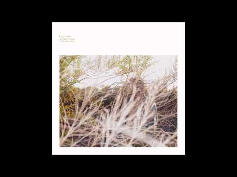 Luke Temple — Luke Temple - Maryanne Was Quiet