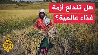 रूस में अनाज की प्रचुरता बंदरगाहों के बाधित होने से टकरा रही है.. क्या वैश्विक खाद्य संकट फूटेगा?
