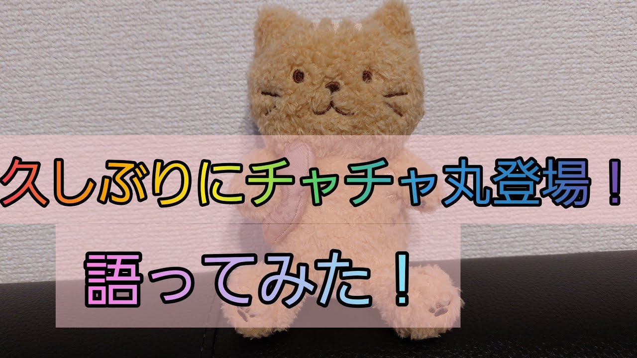 チャチャ丸】久しぶりにチャチャ丸登場です。色々質問してみたら、驚き