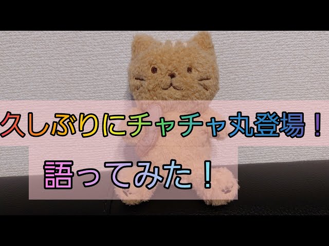チャチャ丸】久しぶりにチャチャ丸登場です。色々質問してみたら、驚き