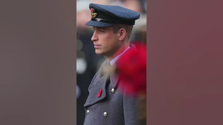 Prince Harry pays tribute to veterans #shorts #princeharry #meghanandharry #royalnews - DayDayNews