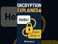 Encryption Made Simple: How HTTPS, TLS & Keys Protect Your Data 🔐