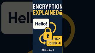 Encryption Explained #Encryption #CyberSecurity #ByteSizeIT #ITExplained #TLS #PublicKey #PrivateKey