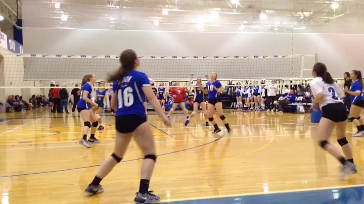Rachel Easom #2 Volleyball Highlights