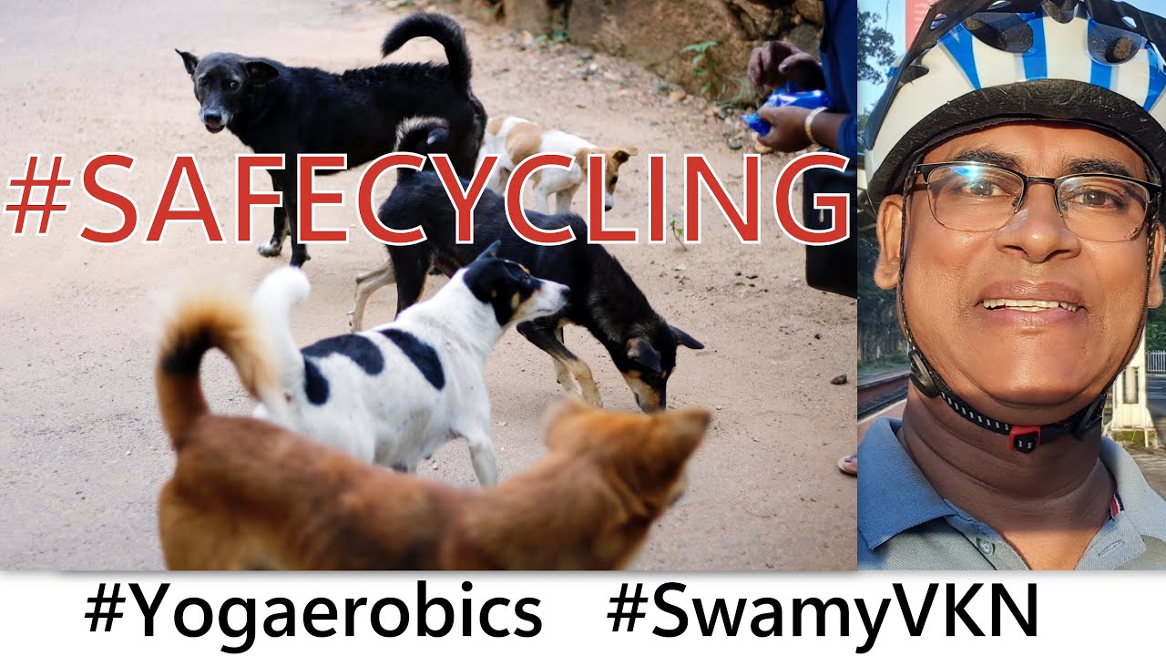 How to Deter Dogs While Cycling? Swamy VKN YouTube