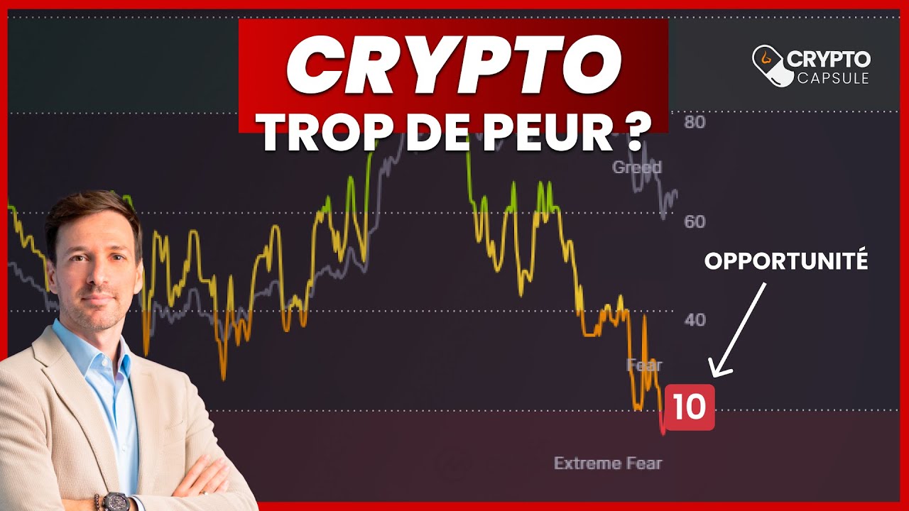 Fear and Greed Index : Une peur exagérée 😱