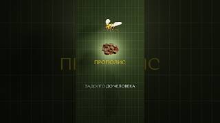 Почему врачи боятся прополиса?🐝