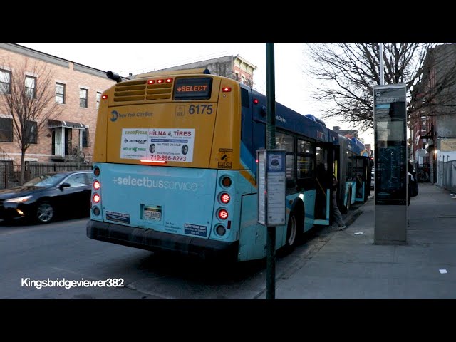 MTA New York City Bus: 2019 New Flyer XD60 Xcelsior Articulated