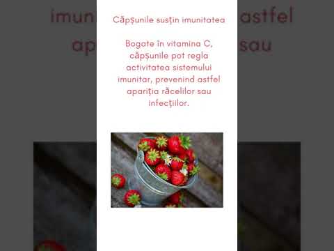Video: Căpșuni și Mucegai Praf De Căpșuni