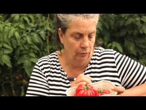 Video: Israel Har Dyrket Røde Citroner Og Sorte Tomater - Alternativ Visning