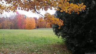 0 Scantic Road East Windsor, CT 06088 - Land - Real Estate - For Sale