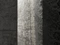 The best machine-made carpet manufacturer in Türkiye, c- us: +905102221000 #carpet #rugs #turkey