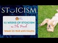 How to Roll with Insults | 52 Weeks of Stoicism (Week 22)