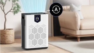 Making My Home Feel Cleaner & Cozier ✨ Dayette AP303 Air Purifier - Home Essential