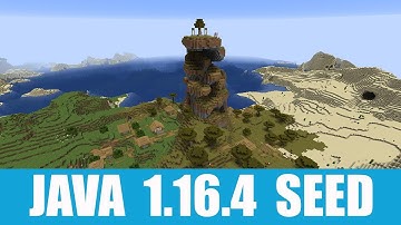Minecraft Java 1.16.4 Seed: Unusual village generation around narrow hill with a single tree on top