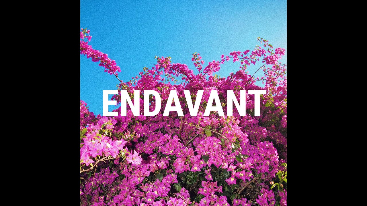 Watch PAU VALLVÉ - Endavant (Lletres/Letras/Lyrics) on YouTube Watch PAU VALLVÉ - Endavant (Lletres/Letras/Lyrics) on YouTube