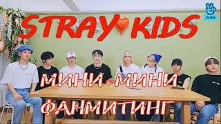 МИНИ-МИНИ ФАНМИТИНГ STRAY KIDS. 1 ЧАСТЬ. РУС САБ/RUS SUB