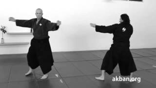 Ninjutsu stance application, Hira ichimonji no kamae   technique for Akban wiki