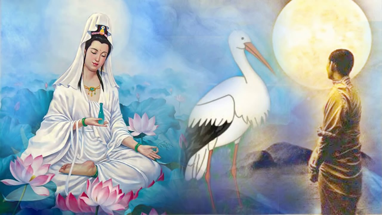 câu chuyện Nhân Quả CỰC HAY giữa CÒ & CUA | Nhân Quả Báo Ứng Luân Hồi