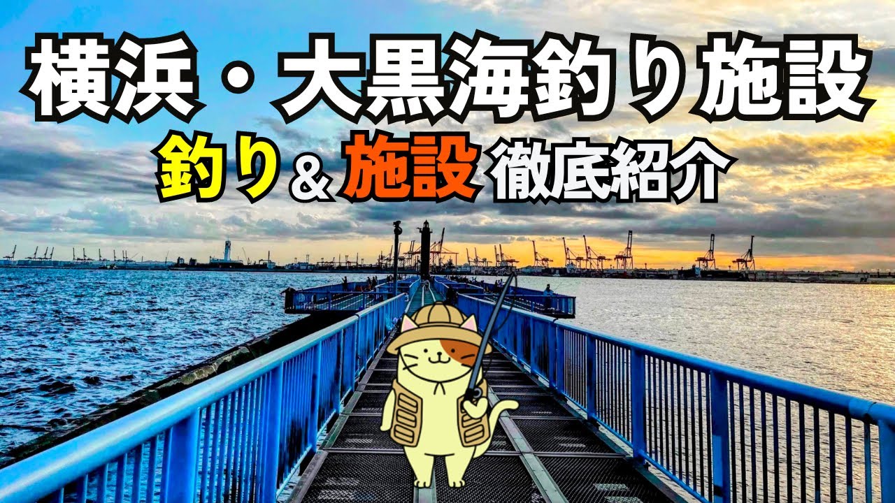 A thorough guide to the first-time 