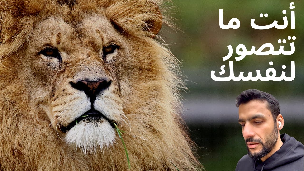 على الطريق .. أحمي صورتك عند نفسك 