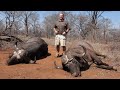 Two in one go!!! Hunting Buffalo in Zimbabwe / Epidode 4