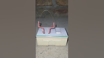 What Happens When You Connect Phase and Neutral Wires? ⚡ DON
