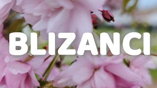 Blizanci - 15.04.-30.04.