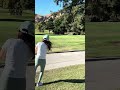 Chipping to the flag #golf #golfer #golfing #golfcourse #golfswing #golflife #shorts #golfshorts