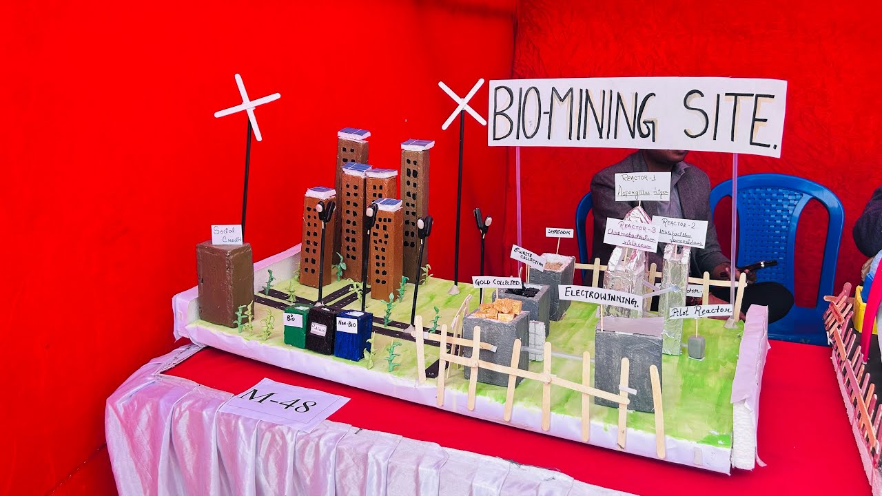 Various kinds of MODELS, presented by College students at Kazi Nazrul University, Asansol📚