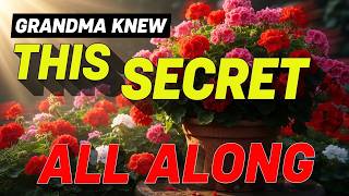 🌿11 GERANIUM SECRETS That Create EXPLOSIVE Blooms💚(WHAT They ATTRACT Will SHOCK You)
