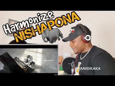 Harmonize - Nishapona (Official Music Video)REACTION