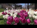 はままつフラワーパーク花散歩 の動画、YouTube動画。