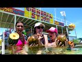 We buy Coconuts in the middle of the ocean!!! Crab Island Florida!!