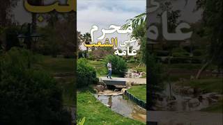 دخلت الكابريتاج الملكي! حديقة طوكيو في ثوبها الجديد (تستاهل الزيارة) 👑⛩️ #حديقة_طوكيو #حلوان #shorts