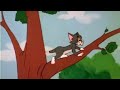 Tom, Jerry &amp; Spike's Pups – Hilarious Cartoon Mayhem! 🐱🐭🐶🤣" Funny Kids Cartoon